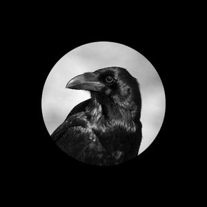 3p一女两男三飞做爰
